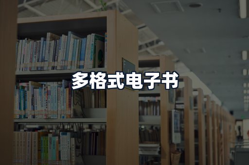 多格式电子书